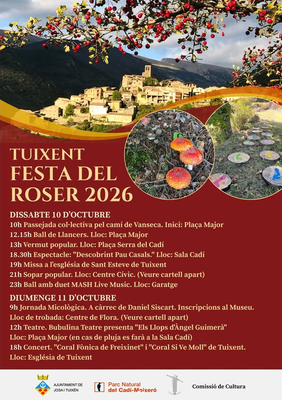 Festa del Roser de Tuixent