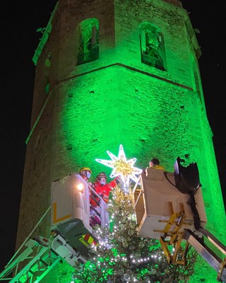 'L'Arbre dels Desitjos' a favor de La Marató de TV3, a Puigcerdà (AUCer)