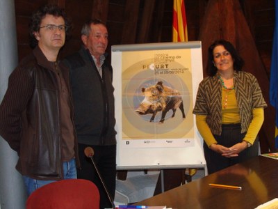 Presentació Picurt 2013