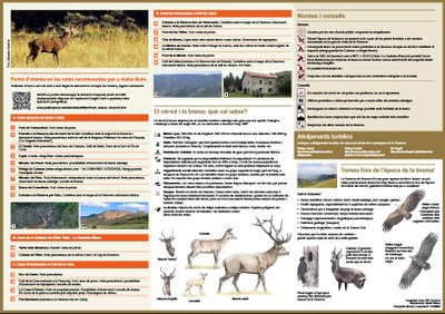 Infobrama (2)