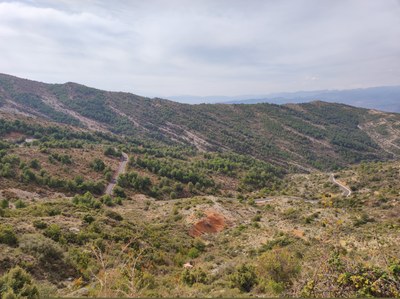 El camí de Claverol a Hortoneda, després de les obres de millora que hi ha fet el Departament d'Acció Climàtica (Foto: Departament d'Acció Climàtica)