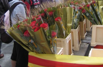Roses per Sant Jordi a la Seu (Foto: arxiu)