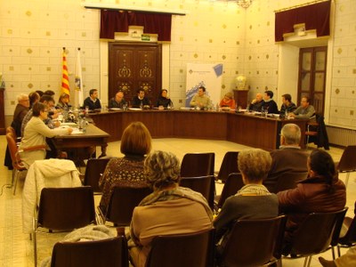 Ple de la Seu 11.2014 (2)