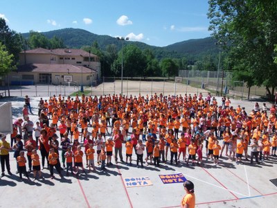 Campanya 'Dóna la nota', a l'Escola Albert Vives