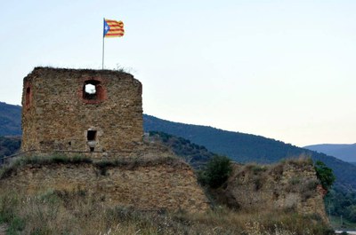 Torre Solsona amb estelada