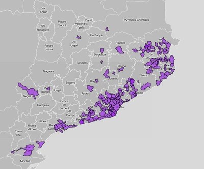 Mapa dels municipis en què s'ha detectat la plaga del bernat marbrejat (Departament d'Agricultura)