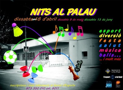Nits al Palau