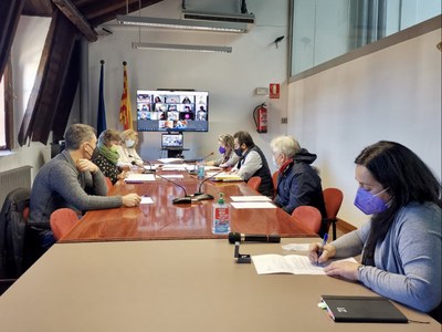 Ple del Consell Comarcal de l'Alt Urgell (22.12.2021) (Foto: Bea Soldevila)
