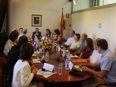 Ple del Consell Comarcal