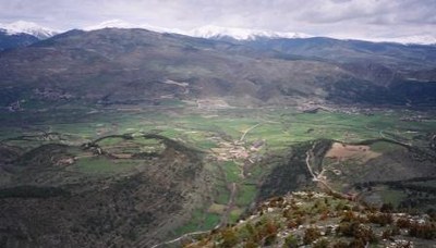 Pi (Bellver de Cerdanya)