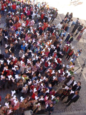 Mans Blanques - Festa Solidaritat