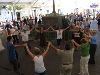 Sardanes a la Seu