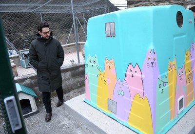 Refugi per a gats a Andorra (Foto: Govern d'Andorra)