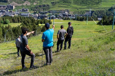 Tècnics de la FIS supervisen el terreny de la pista Avet de Soldeu aquest mes de juliol (Foto: FAE)