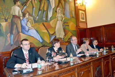 Ple de la Diputació de Lleida (Foto: Diputació de Lleida)