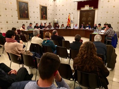 Ple municipal de la Seu d'Urgel (14.11.2016)