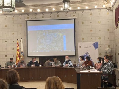Joan Gurrera presenta, al ple municipal, la modificació del pla parcial del sector SUD-1 de la Seu d'Urgell