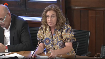 Sílvira Romero a la Comissió d'Interior (Foto: PSC)