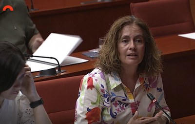 Sílvia Romero, diputada del PSC, a la Comissió de Drets Socials