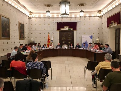 Ple municipal de la Seu d'Urgell