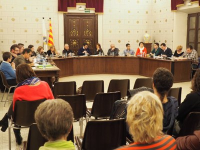 Ple municipal de la Seu d'Urgell (08.02.2016)