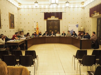 Ple de l'Ajuntament de la Seu d'Urgell, 30.12.2019