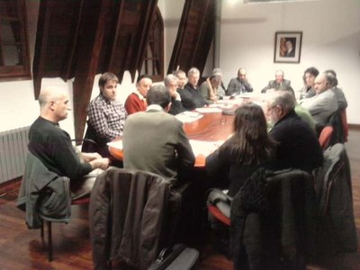 Ple del Consell Comarcal - Febrer 2011