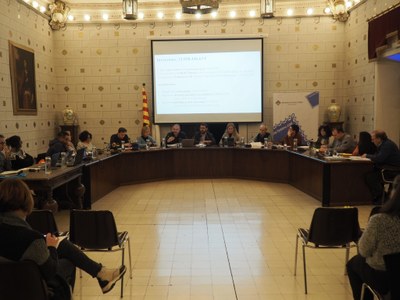 Ple de l'Ajuntament de la Seu d'Urgell - Desembre 2022