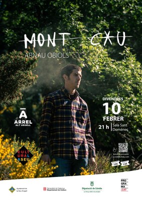 Concert d'Arnau Obiols a la Seu d'Urgell