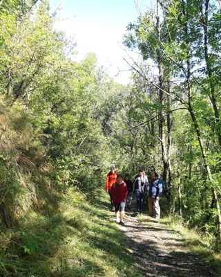 Senderisme (Foto: Turisme Cerdanya / arxiu)