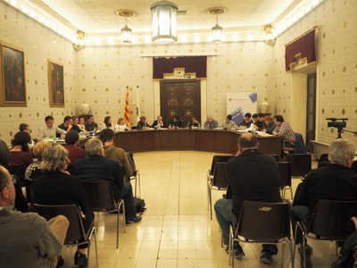 Ple de l'Ajuntament de la Seu