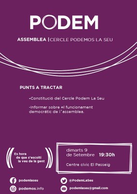 Podem La Seu - Cartell de constitució