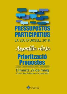 Assemblea veïnal dels Pressupostos Participatius
