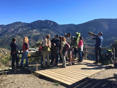 Observació a la Muntanya d'Alinyà
