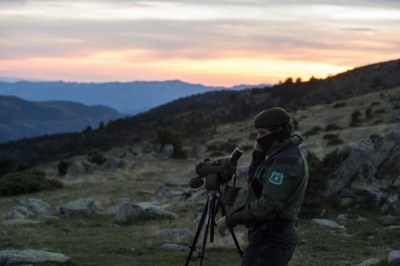 Agents Rurals fent vigilància de caça furtiva (ACN/Ferran G. Queralt)
