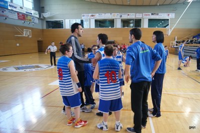 Sedis Airam 2013