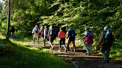 Activitat en el marc del cicle d'activitats Cerdanya Senderisme de Salut (Foto: Cerdanya Senderisme de Salut)