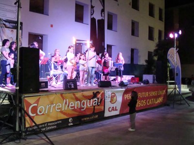 Correllengua 2013