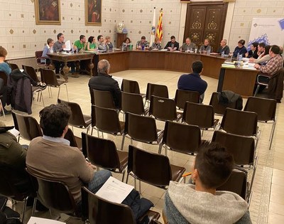 Ple municipal de la Seu d'Urgell