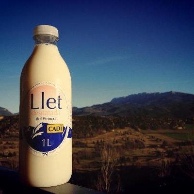 Cadí - Nou envàs llet fresca