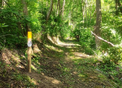Camí desbrossat a l'Alt Urgell (Foto: CCAU)