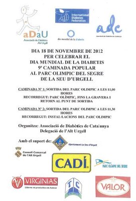 Diabètics - Activitats Dia Mundial 2012 (Cartell)