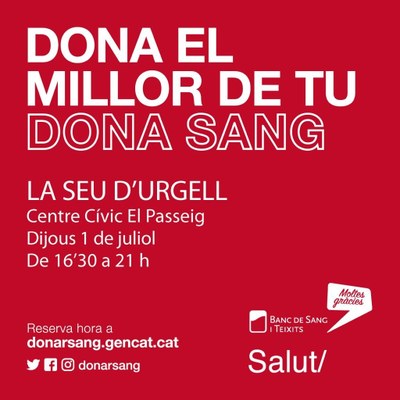 Campanya de donació de sang a la Seu