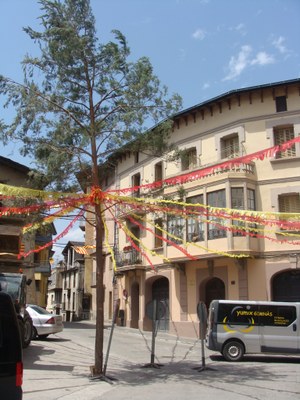 Castellciutat - Plaça de l'Arbre