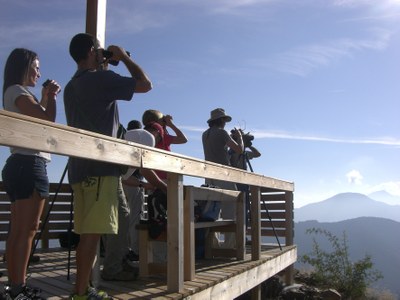 Observació d'ocells des del mirador de rapinyaires del turó Galliner (Alàs i Cerc)