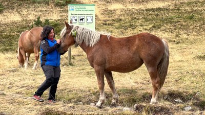 Montse Barado, ramadera i presidenta de l'Associació Cavall Pirinenc Català del Pallars Sobirà, acariciant un cavall que porta el collar de geolocalització (Foto: ACN)