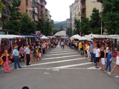 ANC - Cadena Humana la Seu
