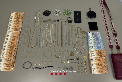 Material intervingut pels Mossos d'Esquadra (Foto: Mossos d'Esquadra)