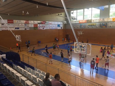 Estades d'Estiu del Sedis Bàsquet