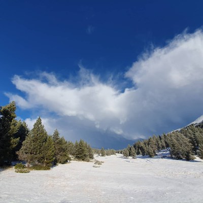 Nevada a Tuixent-la Vansa, aquest dimecres (@TuixentLaVansa) 